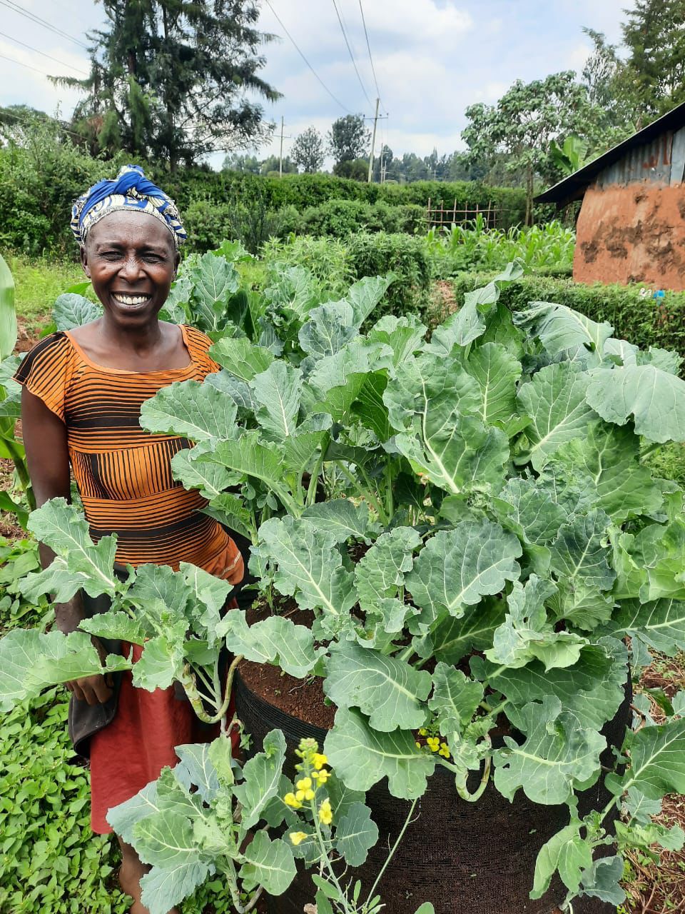 Kenyan woman smiling next to a thriving Garden Tower full of kale