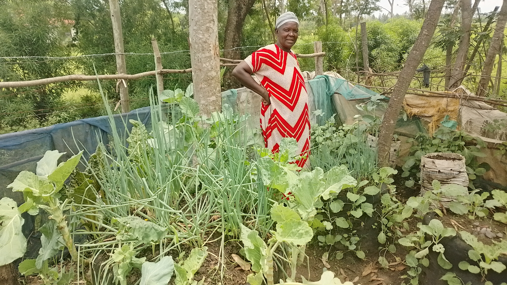 From Sickness to Stability: How a Garden Tower Changed Jecolia's Life — Programs story from 100 Humanitarians in Kenya