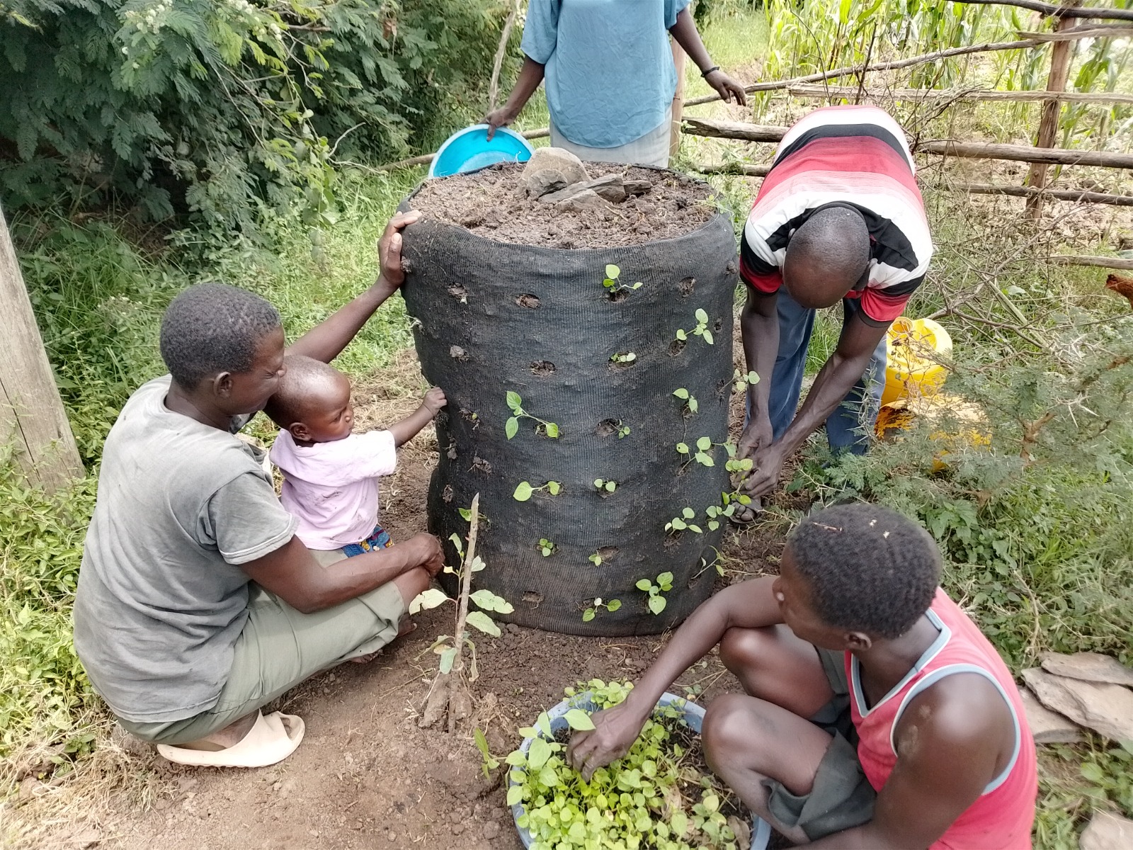 A Kenyan family building a Garden Tower together
